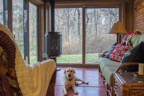 Cute dog in interior of a Four Season Room in Huntleigh, MO
